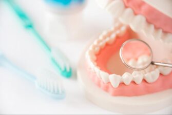 歯の模型と歯科用ミラーと歯ブラシ